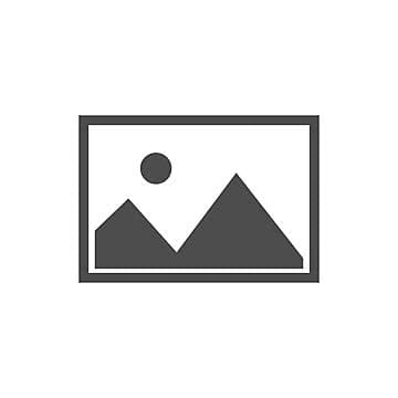 John's Walnut Processing Line – High-Efficiency Processing Solution