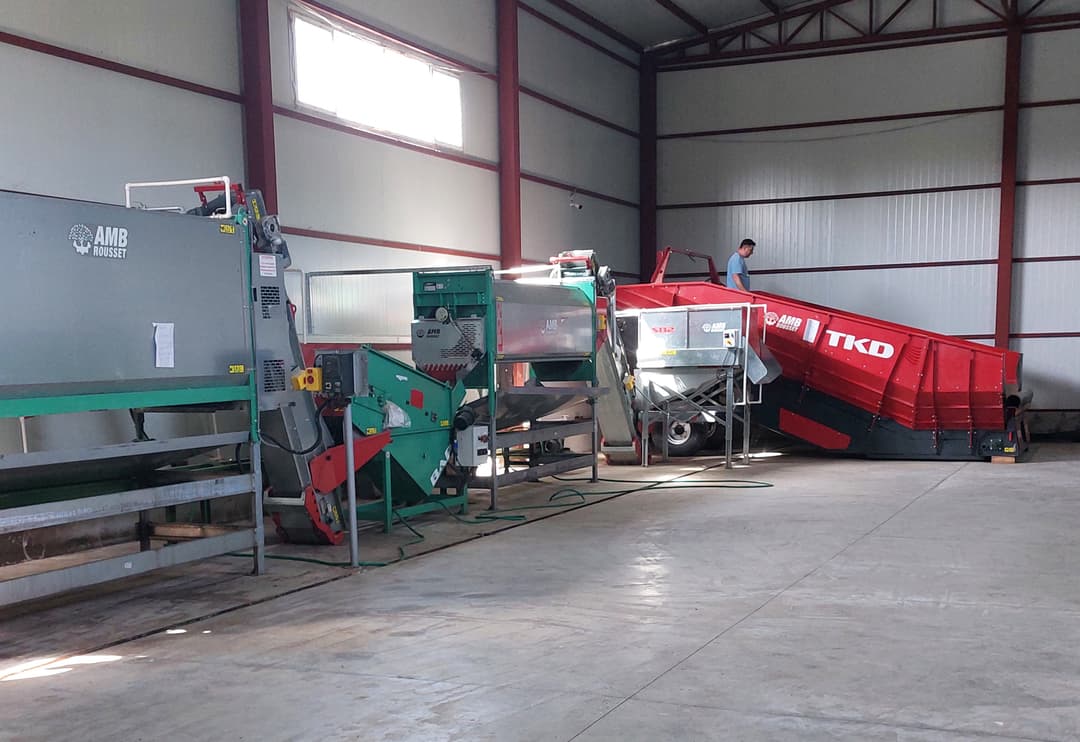 Complete AMB Rousset Walnut Processing Line in the Telavi Region