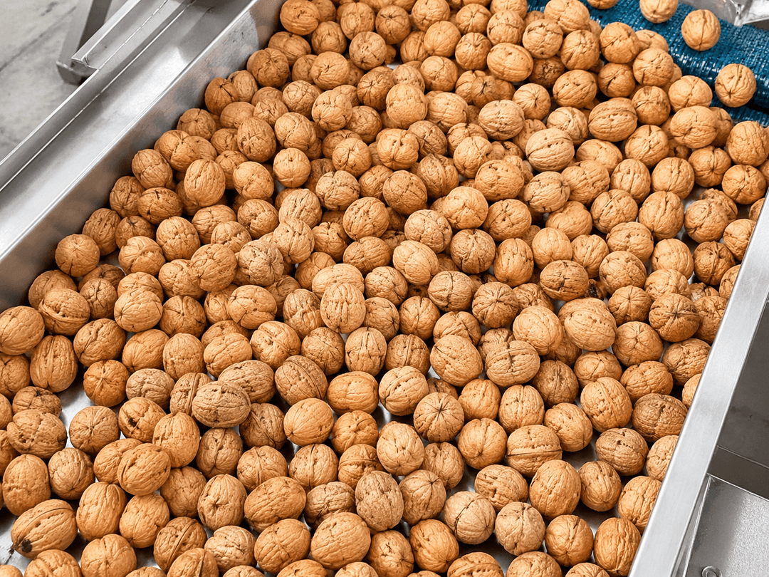 Насколько важно хорошо промывать грецкий орех и как чистый продукт влияет на продажную цену